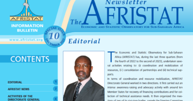 The Afristat Newsletter No. 10