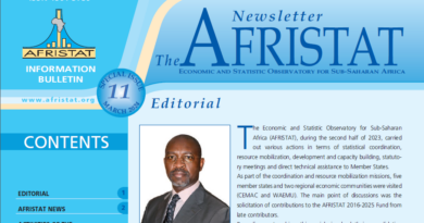 The Afristat Newsletter No. 11