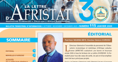 Parution de La Lettre d’AFRISTAT n°115 Parution de La Lettre d’AFRISTAT n°115