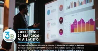 Conférence « La maturité en statistique en Afrique subsaharienne